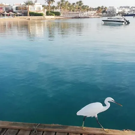 Apartment With Private Beach, Mamsha
